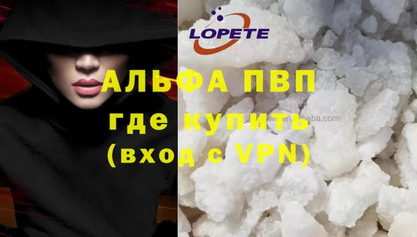 Альфа ПВП Белокуриха