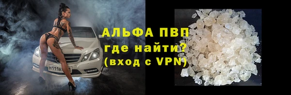 прущие крисы Беломорск