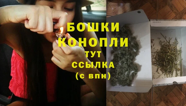 Альфа ПВП Белокуриха