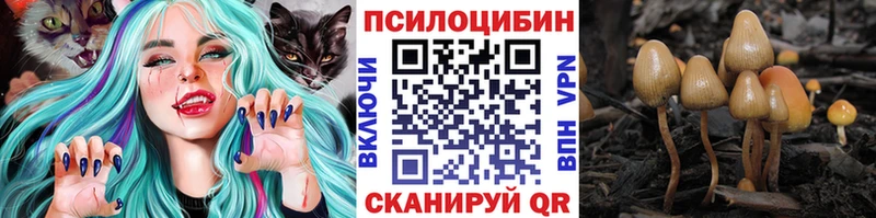 Галлюциногенные грибы мухоморы  Купить где  Сланцы 